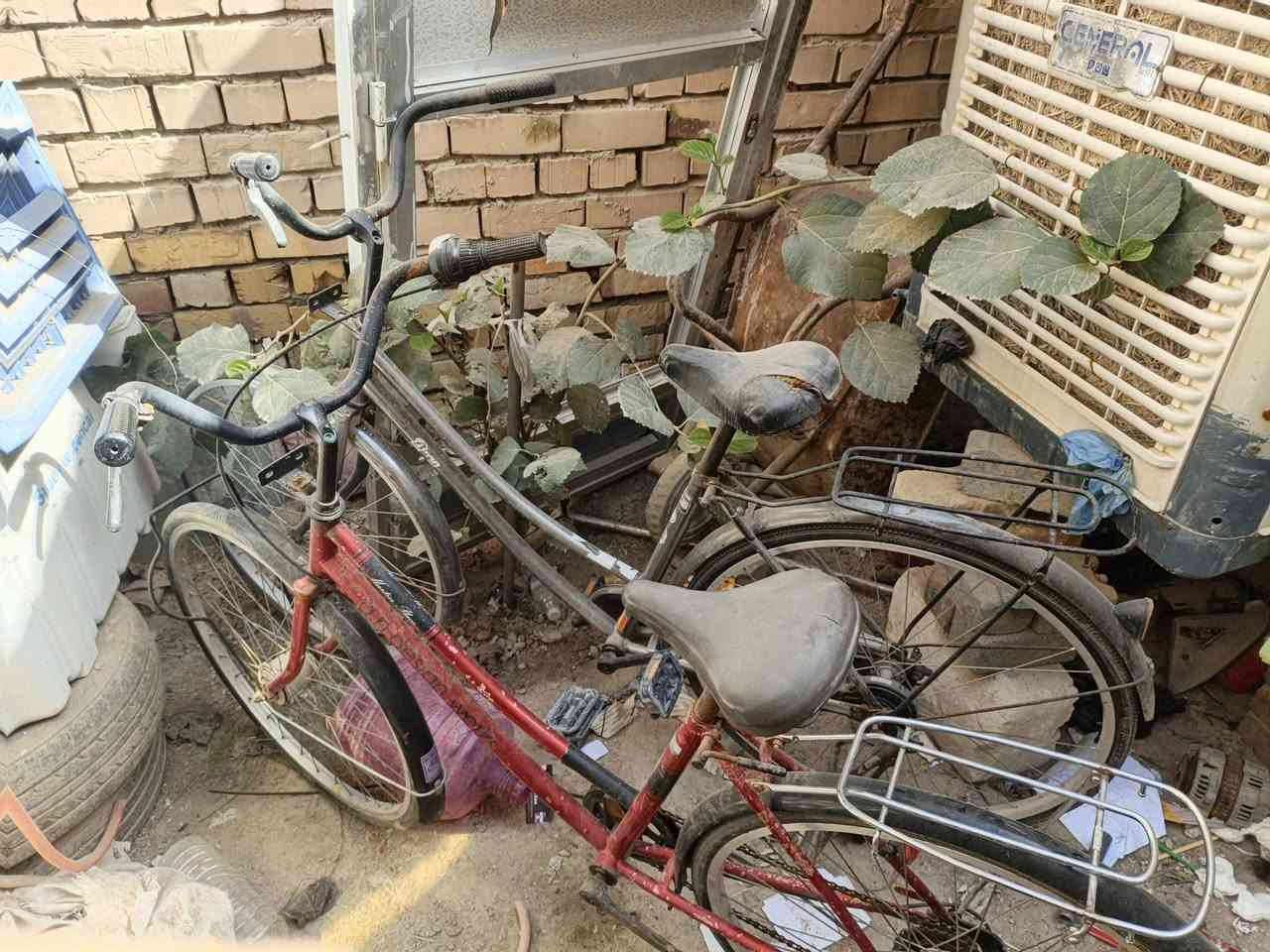 سلام عليكم باسكلات عدد ثنين واحد عقرب والثاني عادي العقرب شغال منضومته كامله بس اول واحد الاحمر حجم 26 موديل 2015 ياباني اصلي والثاني حجمه 27 ما بيه اي شي نقصه بس ويل وره تصفيه وسكان السعر ثنيناتهن 65 وبيهن مجال للطيبين واليريد اجيبهن اله بيه خير ويتدلل بس راسلني خاص مكاني حي الفرات الباب الخلفي مال مدرسه السنبله للبنات قريب عليه


**إذا كنت صاحب هذا الإعلان وتريد حذفه لأي سبب، رجاءا أرسل رسالة إلى الدعم الفني**