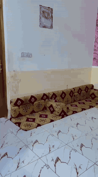 ديوان نضيف جدن مثل ماواضح بالصوره السعر 100 الرقم ***********
