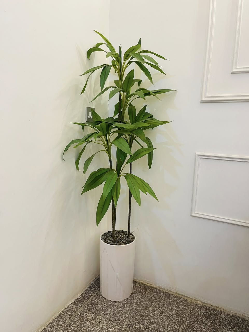 شجر قياس ١٦٥ سندانه زجاج


**إذا كنت صاحب هذا الإعلان وتريد حذفه لأي سبب، رجاءا أرسل رسالة إلى الدعم الفني**