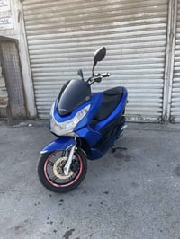 جيل الاول • ازرق • اوراق كامله