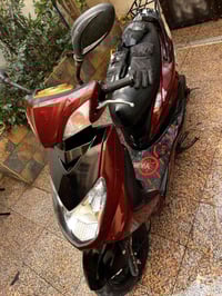 سكنس فحل • كابريته • اصوليه