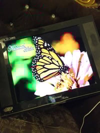 شاشة ٢٤ • تلفزيون • قفل