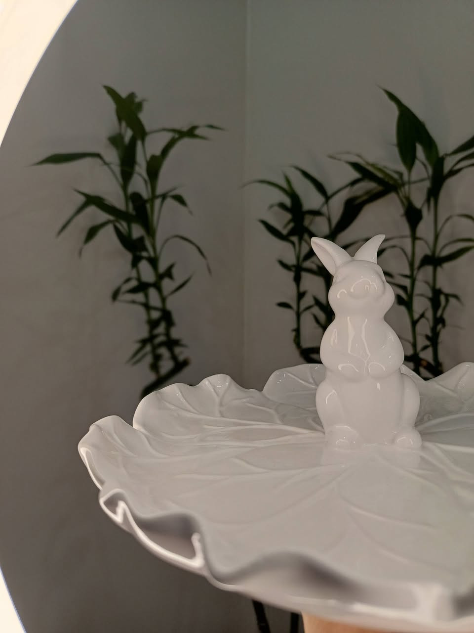 اكسسورات منزليه باسعار مناسبه الاسعار موجوده بقناة تلي🎀✨🫶 او راسلونا👇💭
 https://t.me/+Ug0nl5AGIYAxN2My


**إذا كنت صاحب هذا الإعلان وتريد حذفه لأي سبب، رجاءا أرسل رسالة إلى الدعم الفني**