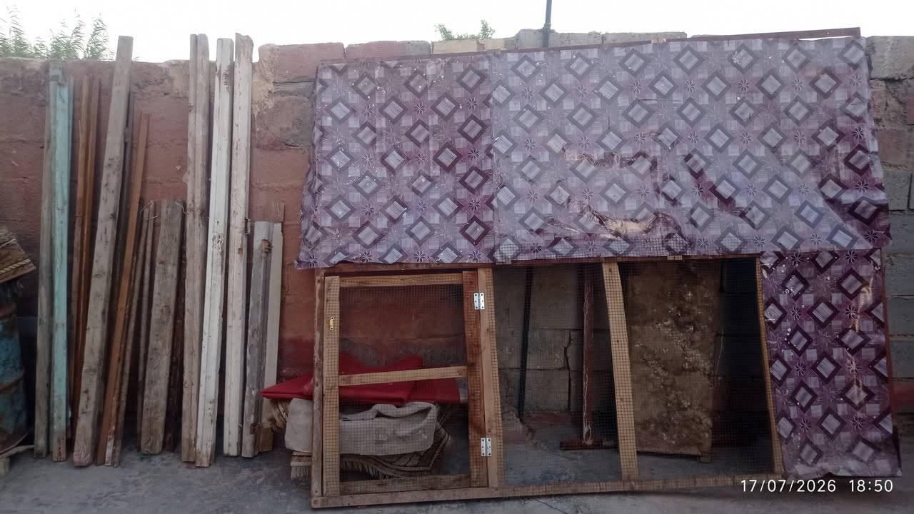 واجهيه قفص زوايه حديد ثقيل وسيوره خشب للبيع السعر عل خاص والميز 15 الاسكان ***********
