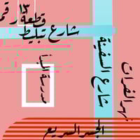 أرض زراعية • ٣٠٠م • الناصرية جانب السفينة