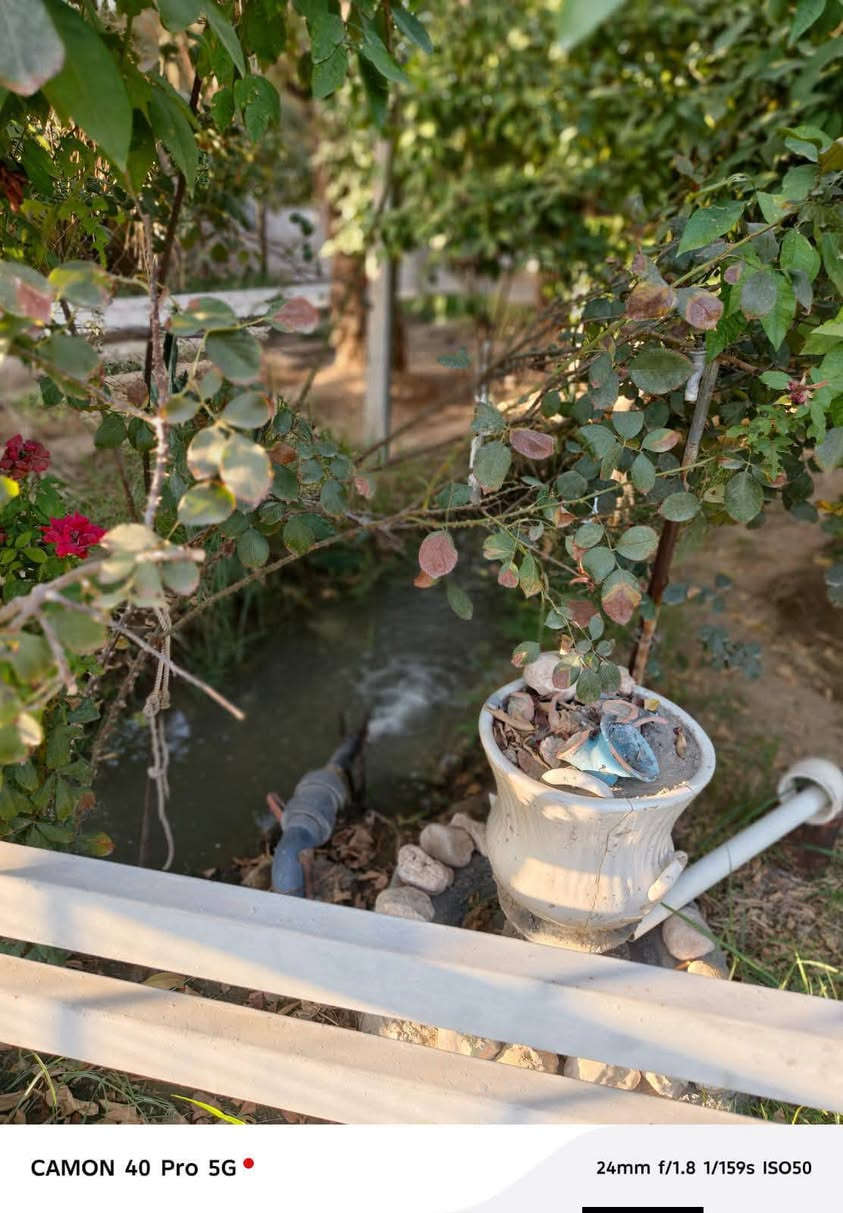 متاح مزرعه ١٦٠٠م علئ طريق كربلاء بغداد او طريق ياحسين مقابيل منتزه الارجوان جنسة الارض طابو زراعي سند ٢٥ مشجره كل انواع الاشجار جاهزه بناء ١٥٠ متر طابقين  الاستفسار الاتصال علئ الارقام 
*********** وتساب 
***********
جاهزون لعرض كافه العقارات الفلوجة, الأنبار
