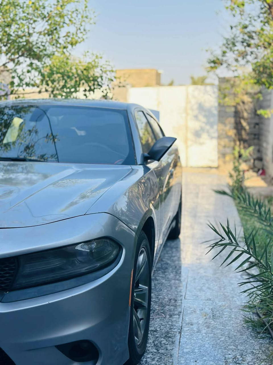 السلام عليكم
جارجر ١٦ اصل كندي
سياره. داخله كلين فقط. قطع  كلير بدون معجون  وبدون دواخل وبدون ارباك
سياره جديده ونضيفه استخدام شخصي
فول عده تنته بسمي رقم بصره سنويه ل ٣٠ سياره متعوب عليه
حداده تخم تاير مكينه ٣٦٠٠ وكير مكفولات    تبريد ثلج منضومه جديده
السعر ١٦٠ وبيه مجال بسيط ***********
