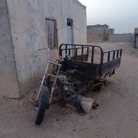 ستوته • ٢٠١٤ • رقم ابيض