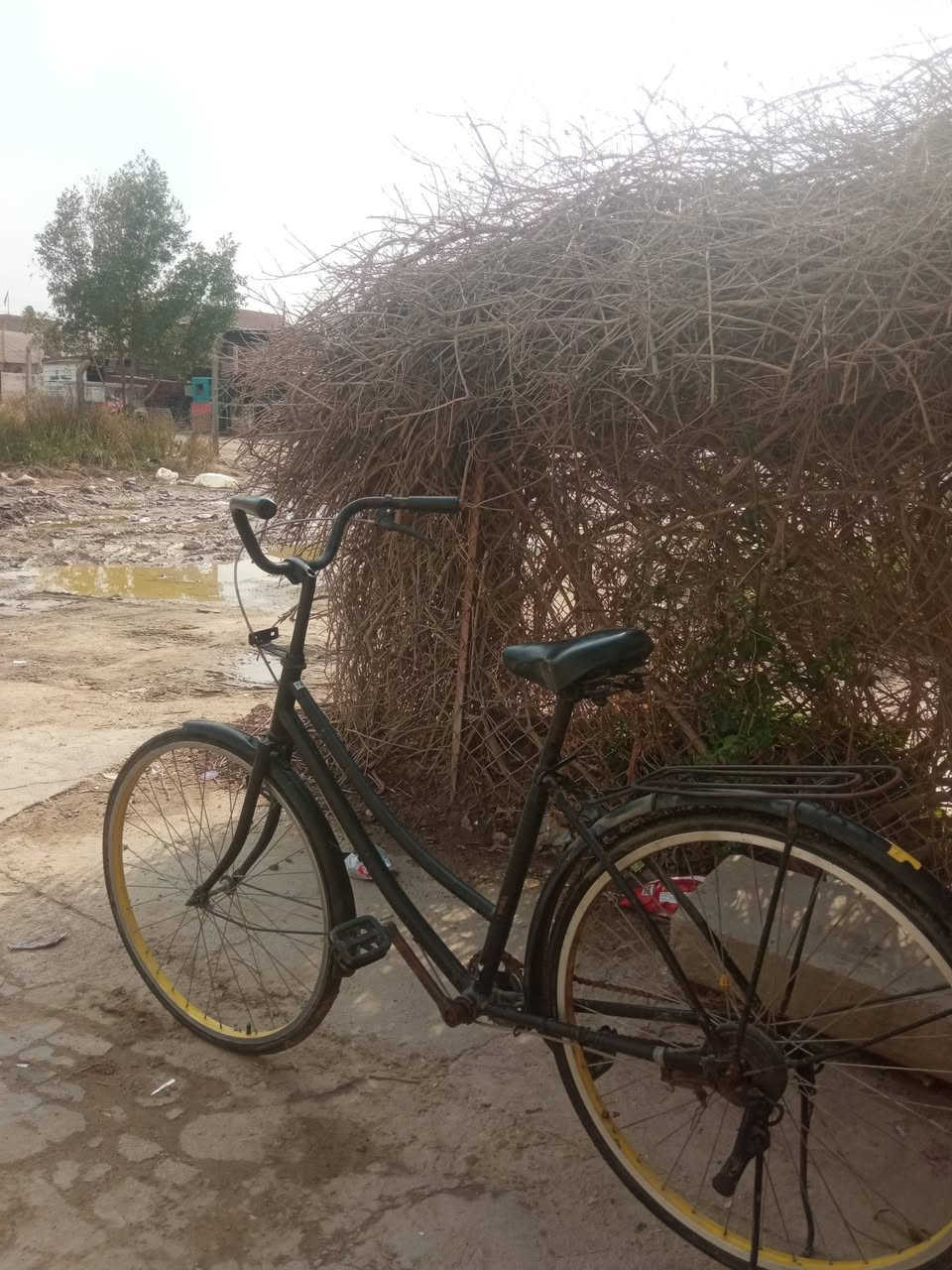 شباب بايسكل للبيع مستعمل السعر55 وبي مجال لونة اسود المكان حي المهندسين


**إذا كنت صاحب هذا الإعلان وتريد حذفه لأي سبب، رجاءا أرسل رسالة إلى الدعم الفني**