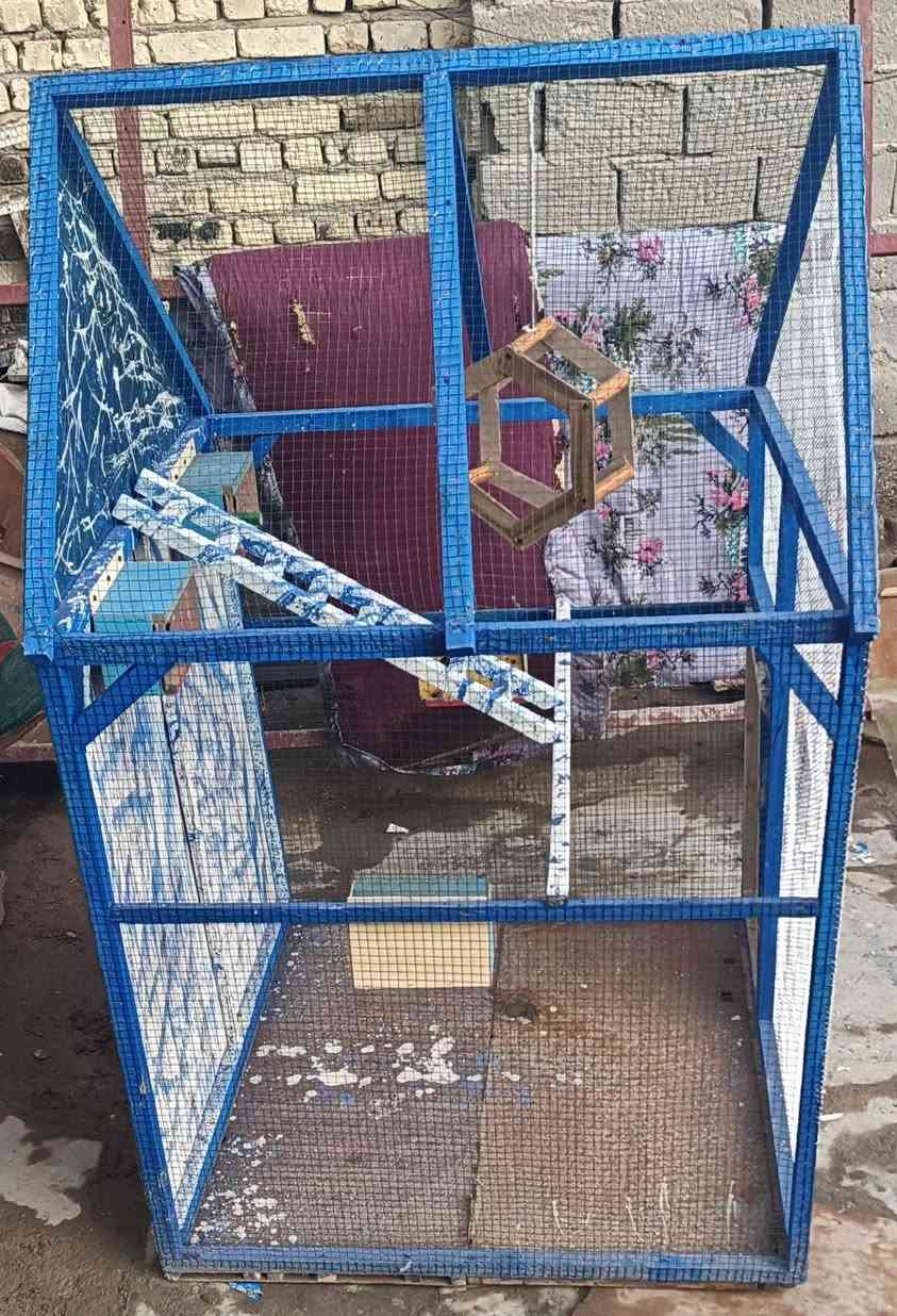 قفص بلابل للبيع الارتفاع /165
العرض /105 مربع مكانةة ديوانيةة حي العسكري الصدر الثاني 
*********** 

***********
