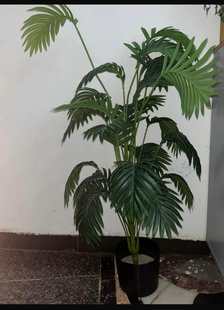 اشجار ورد صناعي نظيفات للبيع بغداد, العراق


**إذا كنت صاحب هذا الإعلان وتريد حذفه لأي سبب، رجاءا أرسل رسالة إلى الدعم الفني**