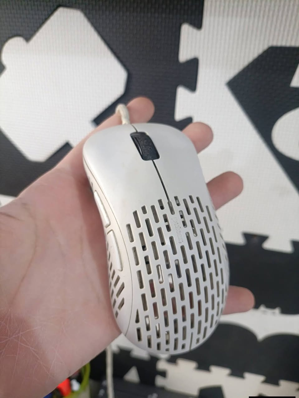 شوية قطع نظيفة و بأسعار مناسبة
ماوس ريدراكون rgb
اسمه Vampire موديل M720 RGB
15 الف

كيبورد ريدراكون ميكانيكي بلو سويتش rgb
اسمه Hara موديل K560R 
15 الف

ماوس اجاز وايرليس اسود AJ219 
بي rgb و وياه dock station
25 الف

ماوس وايرليس ابيض HKSO T90
15 الف

ماوس واير ابيض Pulsar X-lite
15 الف

مخدات hyperx كلاود 2-3 و الفا
10 الف

كيبلات كرت شاشة 8pin لون احمر
10 الف

بغداد الشعب متوفر توصيل
***********
