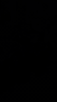 دراجه تايكر • موديل 24 • ديالى بعقوبه