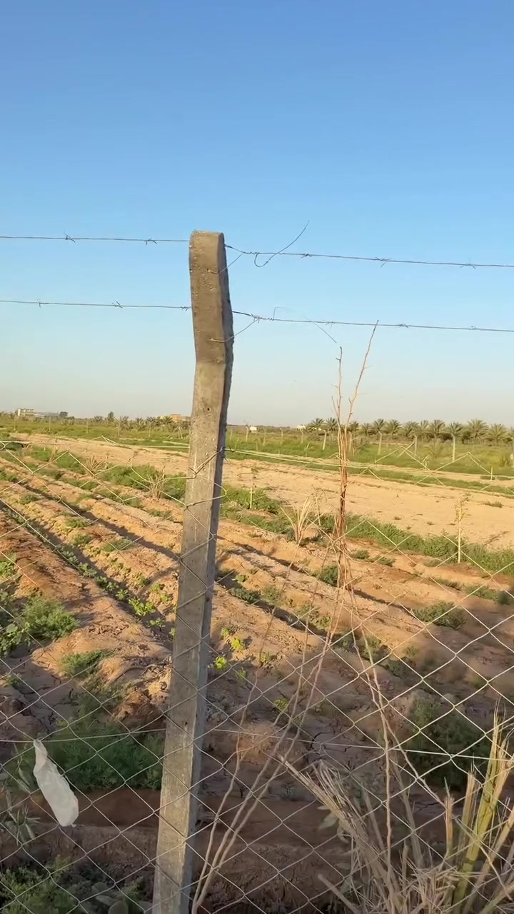 ارض للبيع 🌿

المساحة ٢ دونم 📐

📜صنف العقار :طابو زراعي سند ٢٥ 

📍موقعها : بابل /منطقة ابراهيم الخليل 

🌱متوفر بيها ماء السقي وماء اساله وكهرباء 

⸻

📞 للاستفسار والتواصل:
محمد عباس للتسويق العقاري – M/A
***********
***********
