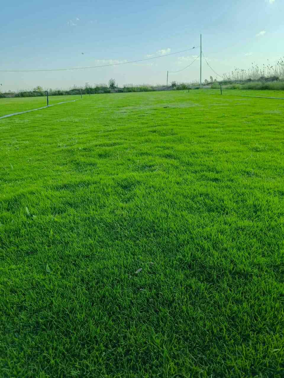 باسعار ثيل ديالى الطبيعي 🏡
أهلاً بكم في مجموعه مزارع ديالى لثيل الهندي الطبيعي 🌿🌱
 نقدم لكم افضل انوع الثيل الطبيعي عالي الجوده يتحمل كافه الضروف البيئية.🌦️🌞
دائم الخضرة🌿🌳 وباسعار تنافسيه ☘️❤️
#مستعدون لتجهيز وفرش الحدائق🏡 ودوائر الدولة🏡والمنازل🏡🏡
و تجهيز الملاعب🏟️ والمنتزهات الجودة العالية في العمل👷👷

مع خدمة التوصيل خلال24ساعه🚛🚛
الاسعار 💵💸 تختلف حسب الكمية 
للاستفسار الاتصال على : 
او التواصل مع الصفحه او اتصال علئ رقم  عن طريق ارسال رسالة على الوتساب ‏‪***********
