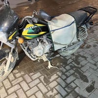 بوكسر • اوراق اصلي • بابل