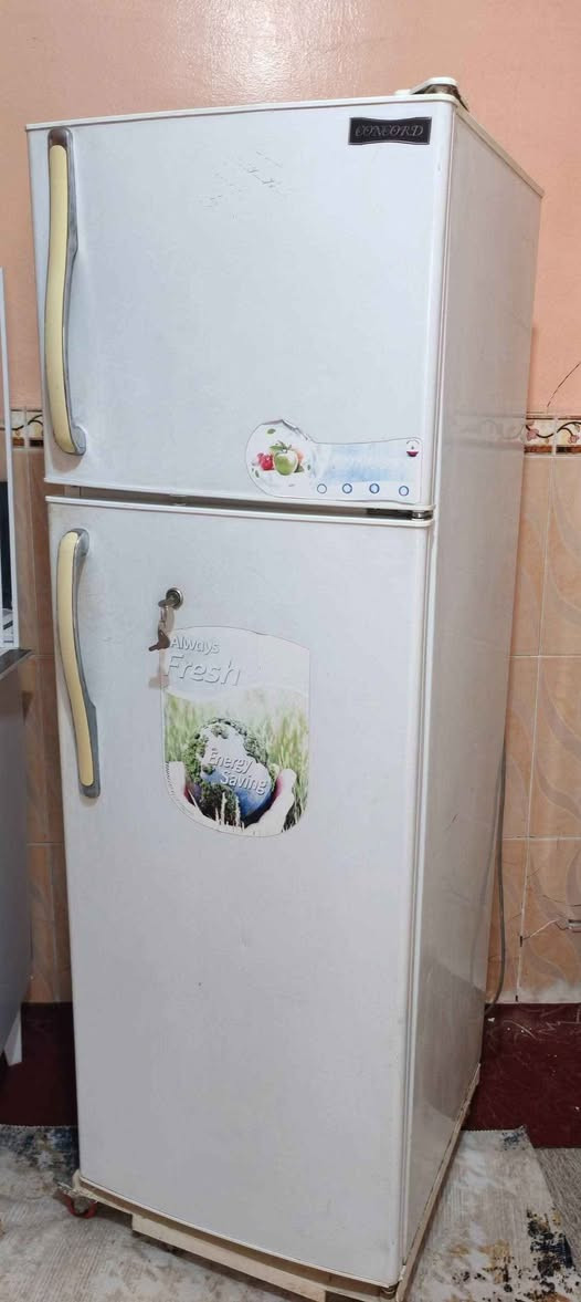كاونتر المنيوم ثلاثي ب٢٧٥ و الثلاجة ب٢٠٠ وطباخ كريازي ب٢٥٠ السماوا, المثنى


**إذا كنت صاحب هذا الإعلان وتريد حذفه لأي سبب، رجاءا أرسل رسالة إلى الدعم الفني**
