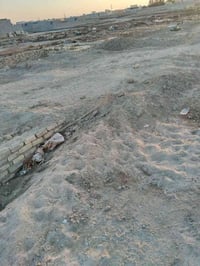 بيت • الصخيين نزله ابو كميل • ١٤٠م