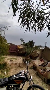 كلك • مكفولة • مامفتوح