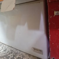 كربلاء الحر • عارضات • مجمدات