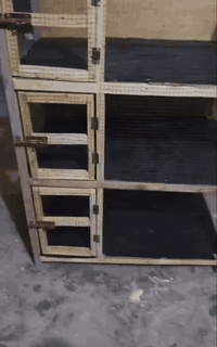 السلام عليكم متوفر قفص للبيع
الطول ١٢٧
العرض ٨٠ 
النزال ٦٠ 
السعر 30 
مكاني بابل المحاويل حي الجمهوري 
قرب جامع الامام علي 
رقم الهاتف ، ***********
