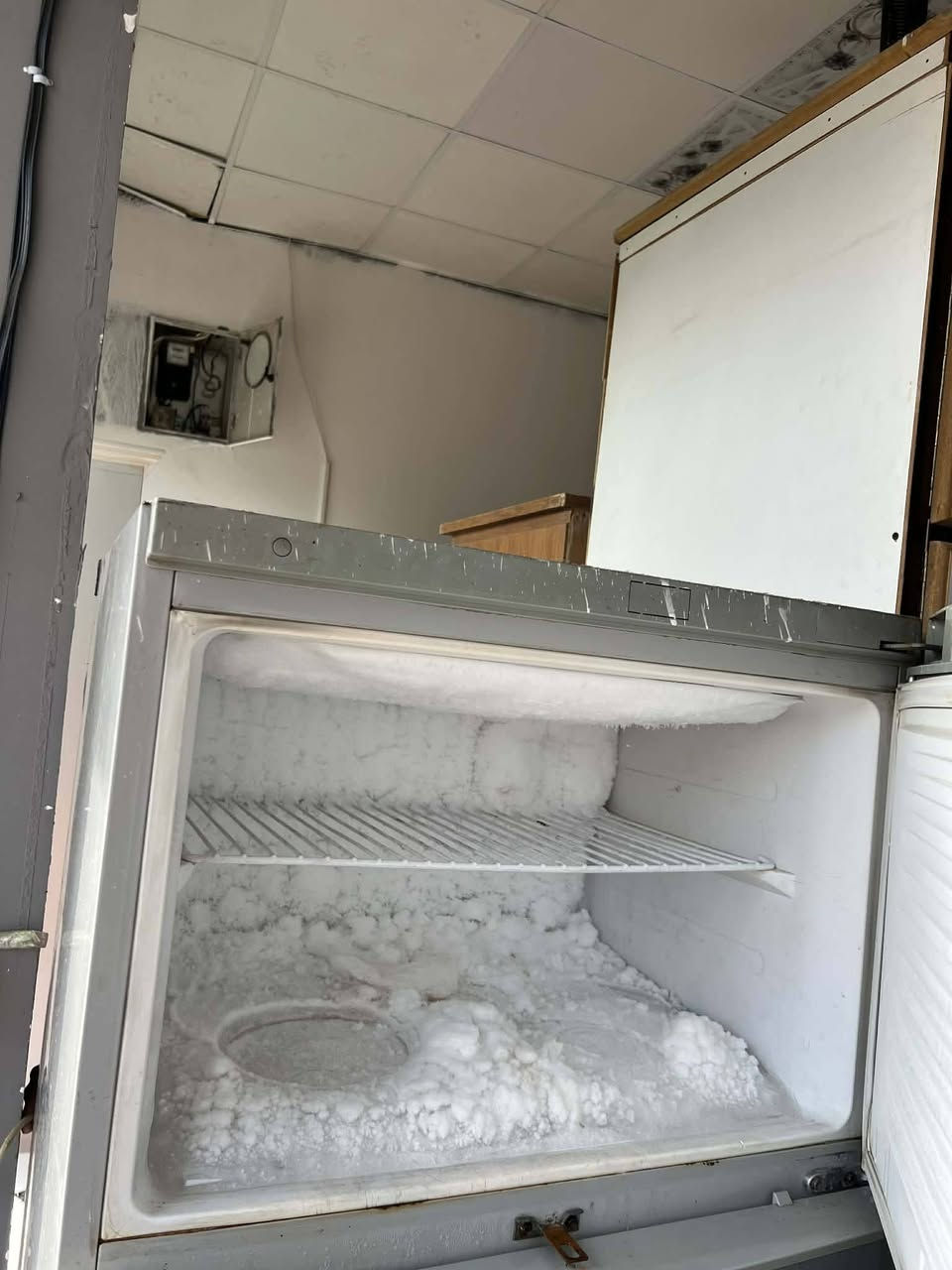 ثلاجه شرط النظافة اخو الجديد ١٢٥ بي مجال شراي دزلي صوره عالخاص


**إذا كنت صاحب هذا الإعلان وتريد حذفه لأي سبب، رجاءا أرسل رسالة إلى الدعم الفني**