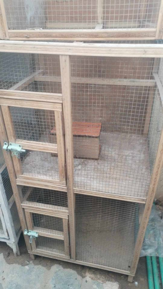 السلام عليكم...
1/اقفاص 2 ارتفاع متر وربع وعرض 60 سم خانتين ...سعرهم بالسوك 35 الف 
الواحد 20الف واذا ثنينهم 40 الف قفل
2/واحد صغير خانه وحده سعره 10 الاف قفل
3/واحد 4 خانات ارتفاع متر وربع عرض متر سعره 30 الف وبي مجال قليل 
اخوان الياخذهم كلهم يدلل بالسعر الشراي فقط يراسلني واتساب او يتصل 
الرقم /***********
المكان /كربلاء حي العامل المنطقه السابعه كربلاء, العراق
