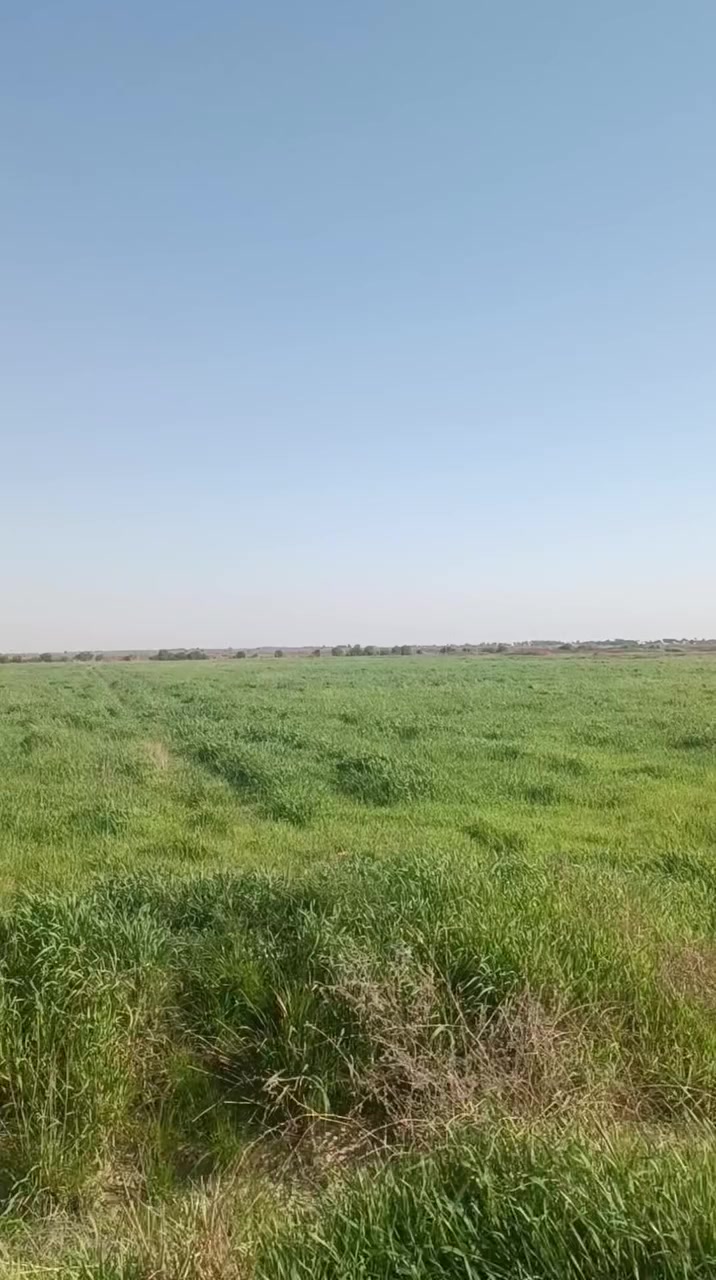 السلام عليكم
جاير وادغال للبيع 
المساحة 250دونم ع الشط الغراف 
يوجد بيها دار للسكن 
ماء كهرباء+تبليط مباشر عليها 
كل التفاصيل مذكوره
المكان واسط الموفقيه 
***********
***********
