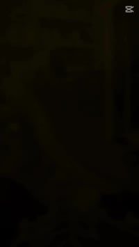 فيتنام • سكجرات • قيطان كذابي