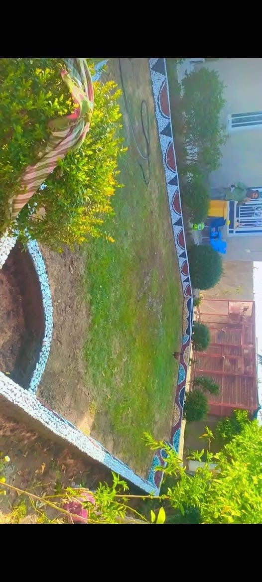 حسن لديكور***********
🍃مستـعدون🍂 ، لـترتيب🐦 الحدائق المنزلية 🏝️🏘️
وزراعة النباتات، 🌾🌴🌱والازهار، 🌼🌺🌻وقص الثيل.🌾🌾
وعمل الديكورات والتصاميم،الحديثة للحدائق،، بواسطة الاحجار الملونة 
ونعمل على تصميم الشلالات 💦والنافورات
