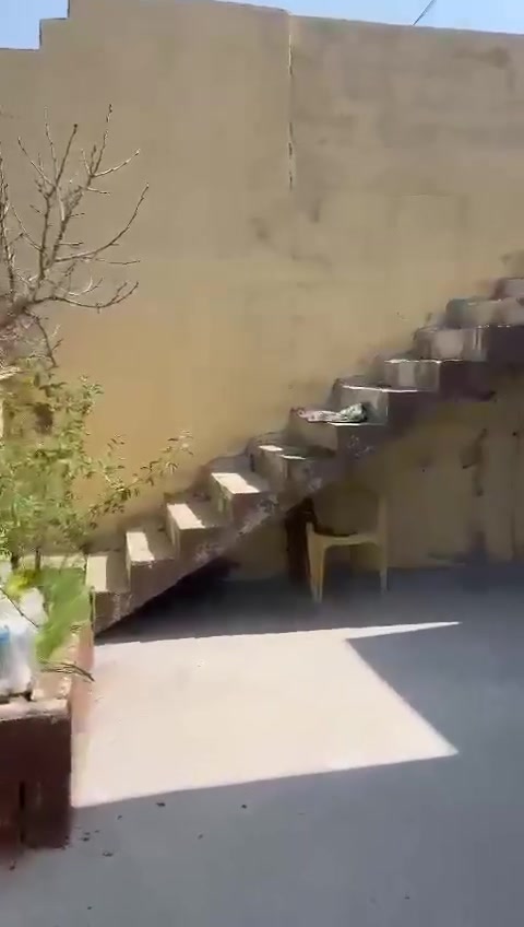 خانوو بۆ فرۆشتنی خێرا
ڕوبەری _105م

لە تانجەرۆ گەرەکی سەدوو بیسته

بە 125 گەڵا لە گەڵ معامەله 

بۆ زانیاری زیاتر  زانینی نرخ پەیوەندیمان پێوە بکەن ***********

ئەشیای ناو خانووکه هەموی لەگەڵیا

بيت في سليمانيه مساحه ١٠٥ متر 
منطقه ١٢٠ بيت ارضي كامل غراض ثلاجه كاونتر گيزر تانكي ماء كنتور ملحق ٦ابواب فنفات فرش داخل البيت مبرده بيت مجهز ماء كهرباء بلاش خط مولده كراج سياره منطقه تانجرو كركي صدو بيست

