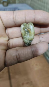 للبيع • سعر خاص