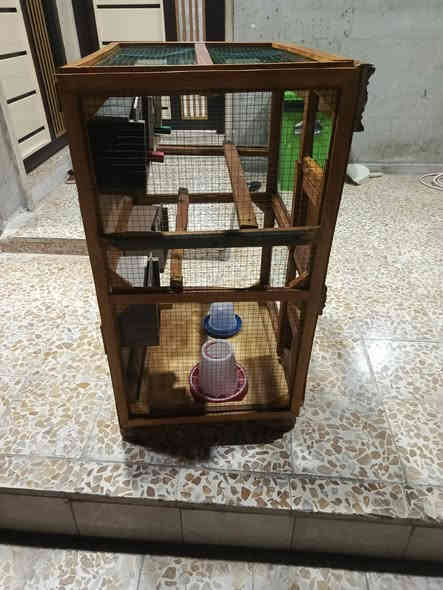 السلام عليكم قفص معروض للبيع40 وبي مجال ***********
