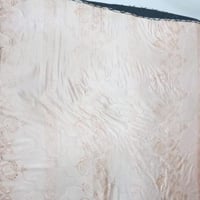 دوشك اسفنج • ١٨٠/٢٠٠ • حي الجهاد