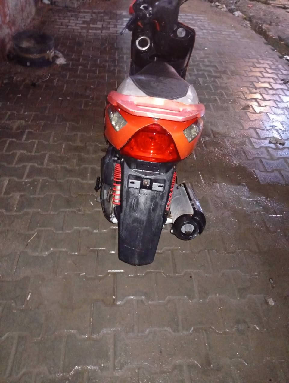 ا السلام عليكم ماكس ثعلب للبيع بلاديه كلهه ختم واحد مكاني الحريه رقمي ***********السعر 750وبيهه مجال
