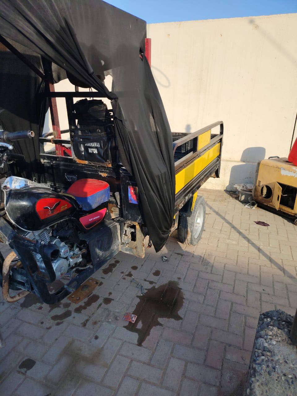 السلام عليكم ستوتة للبيع فحل عالي كلاب ***********
