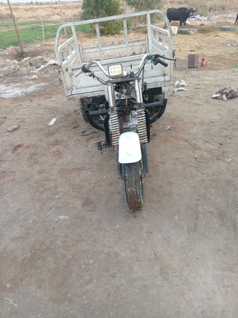 سلام عليكم مكلف بل نشر ستوته للبيع كلك وراق ضايعه بيها بليته  700بيها مجال مكان ناصريه رقم  ***********
