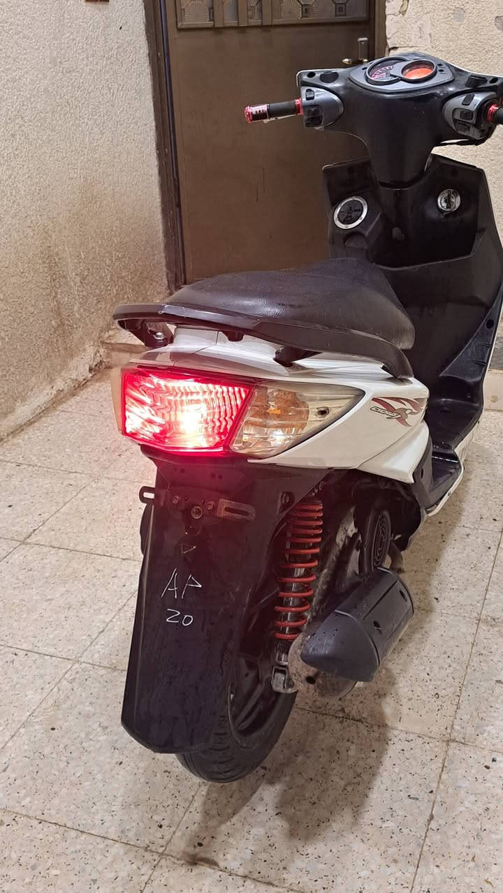 السلام عليكم
دراجه سكنس فحل للبيع 
الدراجه جديده 
للتواصل ***********
بغداد العبيدي
