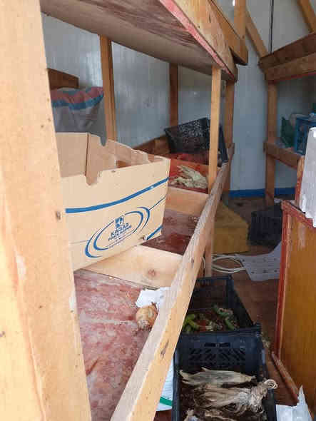 سلام عليكم عندي ميوزه للبيع مالت مخضر عدد 3 طول الواحد 3 امتار نضيفات وقويات سعرهم 200 وبيهم مجال  عنواني البصره ابو الخصيب حي العسكري للاستفسار *********** واتساب
