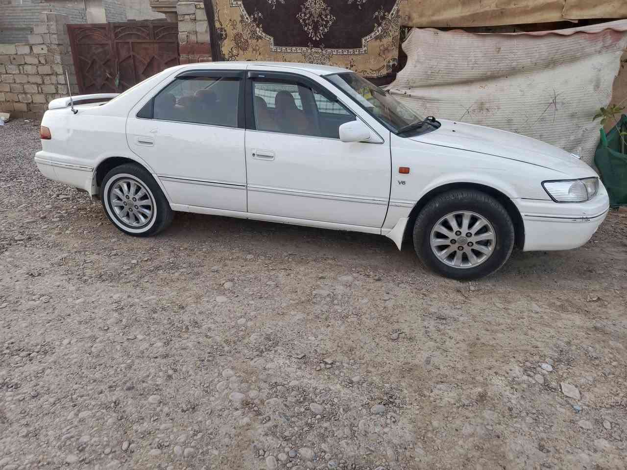 كامري 6 ميديل 2000خليجي بسمي بغداد تبريد ثلج صدر تخم تاير جديد سياره جاهزة عالي ناصي زنون 80ومراوس هم ترهم العنون  صلاح الدين قضاء بلد 
***********
