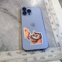 ايفون 13 برو ماكس • ٢٥٦ • بطارية ٨٤