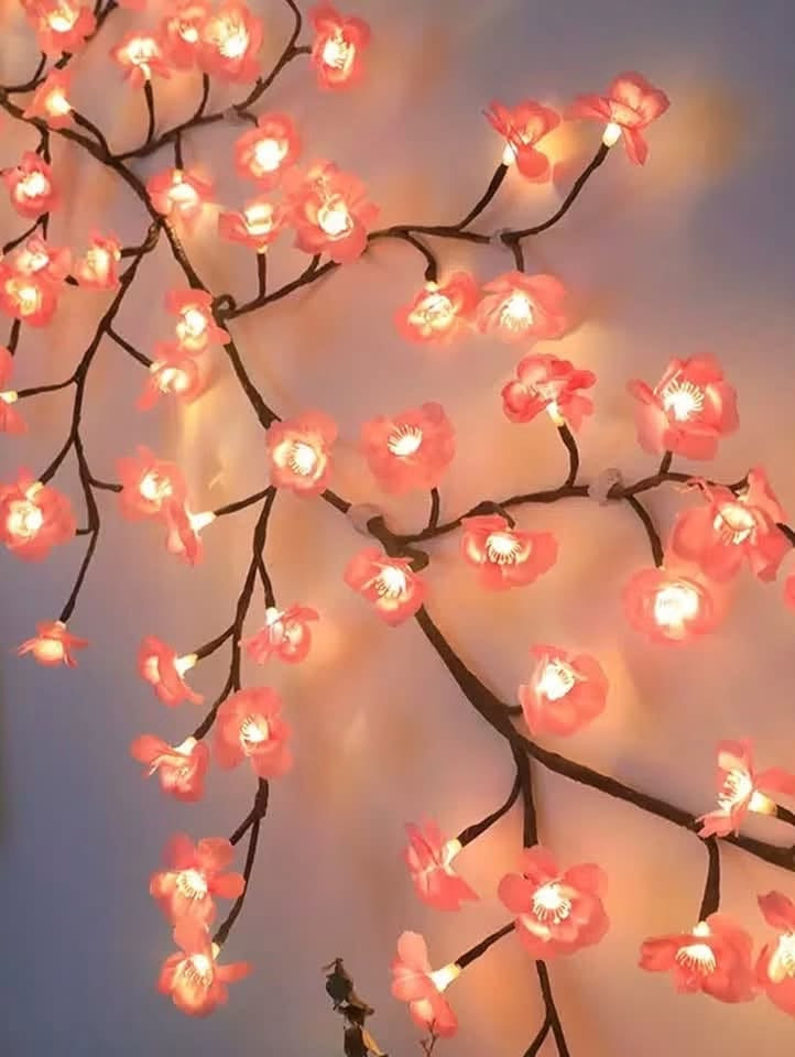 20 مع التوصيل


**إذا كنت صاحب هذا الإعلان وتريد حذفه لأي سبب، رجاءا أرسل رسالة إلى الدعم الفني**