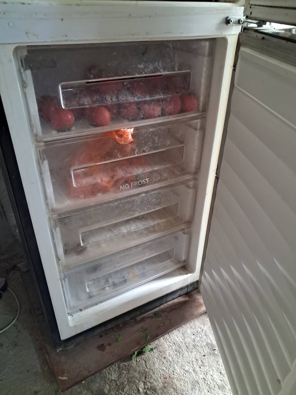 ثلاجه مجمده بنفس الوقت السعر 150 تبرد ولاكن بيه نقص غاز العنوان نجف ابو صخير


**إذا كنت صاحب هذا الإعلان وتريد حذفه لأي سبب، رجاءا أرسل رسالة إلى الدعم الفني**