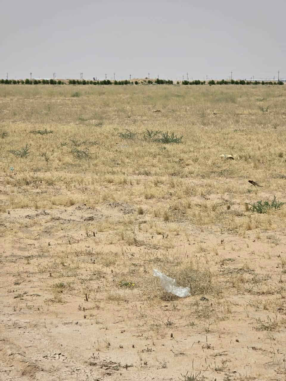 السلام عليكم

4 دوانم للبيع مسيجات بيهن كهرباء وبير ارتواز مكانهن النجمي على طريق الرفيع مباشر قرب المدرسه سعرهن 35 مليون ومجال قليل

*********** تفاصيل اكثر اتصل
