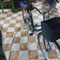 ياباني • حجم ٢٧ • مبدل نمر خربان