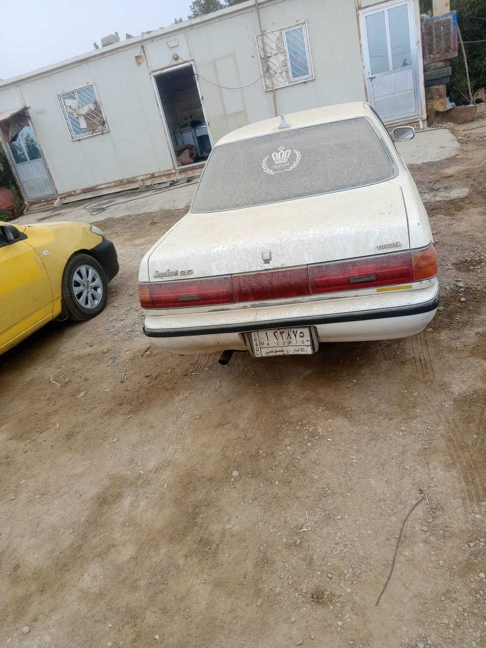 كرسته مسطره مكفوله من الكص من ضربه ولعيب الشرعي .رقم الانبار تحويل موجود راعيهة موجود مكانها الرفاعي ***********
