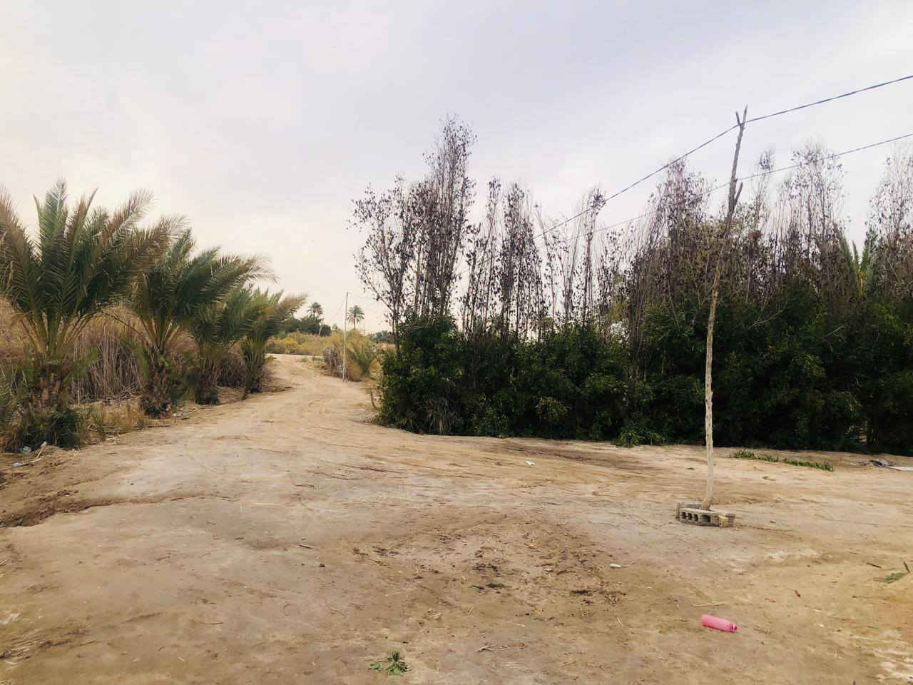 اا


**إذا كنت صاحب هذا الإعلان وتريد حذفه لأي سبب، رجاءا أرسل رسالة إلى الدعم الفني**