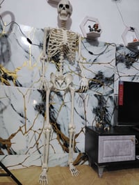 هيگل عضمي • ١٦٥سم • توصيل مجاني