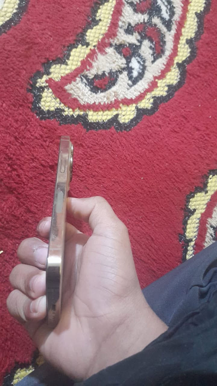 ايفون ١٣ برو فقط تفاصيل والسعر خاص


**إذا كنت صاحب هذا الإعلان وتريد حذفه لأي سبب، رجاءا أرسل رسالة إلى الدعم الفني**