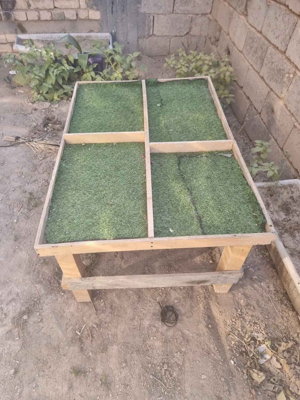 ميوزه مخضر للبيع ***********
